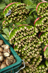 Fototapeta premium spinach