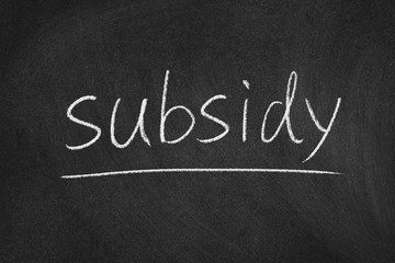 subsidy concept word on a blackboard background