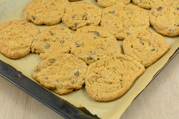 Baked chocolate chip cookies on parchment paper placed too close together and merged together while baking