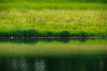 landscape of  Pond in Large reservoir in Thailand