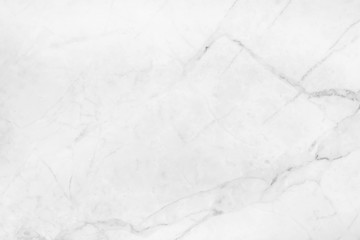 Abstract white marble background with natural motifs.