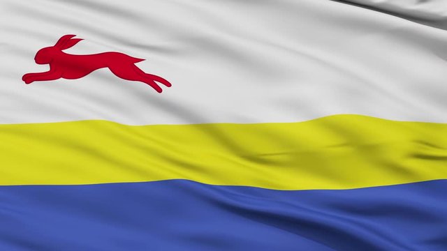 De Friese Meren closeup flag, city of Netherlands, realistic animation seamless loop - 10 seconds long