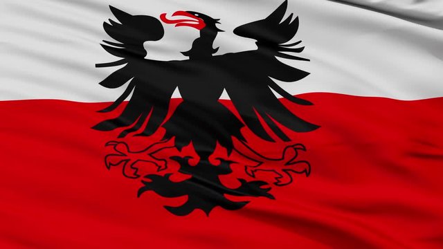 Deventer closeup flag, city of Netherlands, realistic animation seamless loop - 10 seconds long