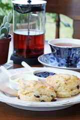 Freshly baked scones in tea time            