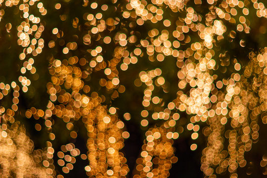 Blur - bokeh - Decorative outdoor string lights hanging on tree in the garden at night time - decorative christmas lights - happy new year 
