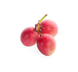 Carissa carandas Linn,Karanda, Carunda isolated on white background