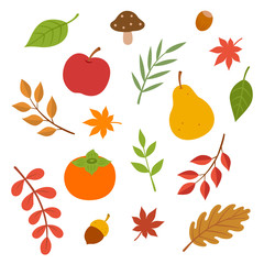 Autumn nature set isolated on white background