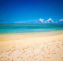 Sandy tropical beach. Beautiful landscape.