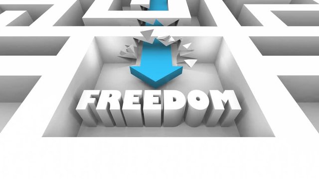 Freedom Liberty Free Choice Word Maze 3d Animation