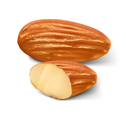 Realistic almond nuts on white background. Vector illustration. Ready to use for your design, presentation, promo, ad. EPS10.