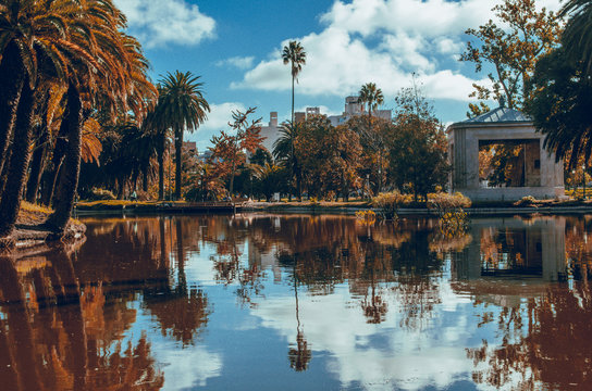 reflejos
