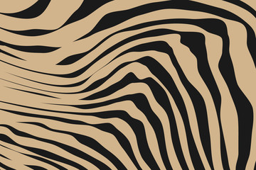 Close up Stripe Animal Pattern