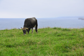 Asturias