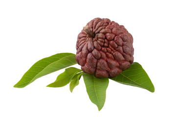 Obraz premium custard apple fruit isolated on a white background