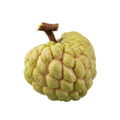 Obraz premium custard apple fruit isolated on a white background