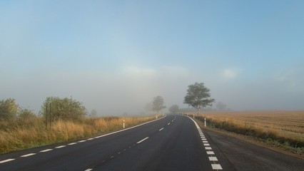 czech countryside road in a morning mist