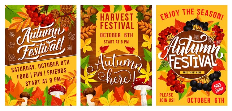 Autumn festival of harvest poster with fall leaves