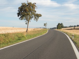 czech countryside road in a morning mist