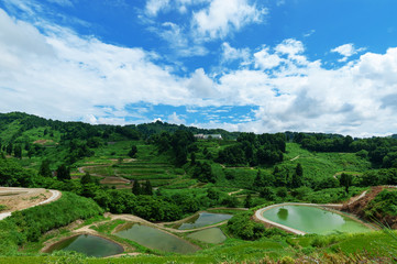 【新潟県長岡】山古志棚田棚池の夏は美しい緑の季節