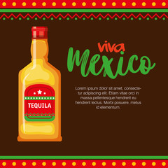 mexican tequila bottle icon