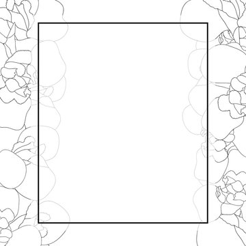 Iris Flower Outline Banner Card Border on White Background