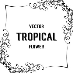 Vector tropical flower card hand draw illustration collection