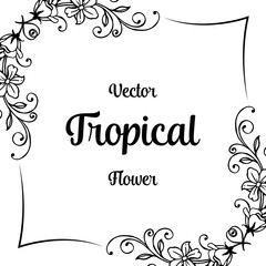 Vector tropical flower card hand draw illustration collection