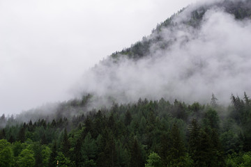 Obraz na płótnie Canvas Mountain Fog
