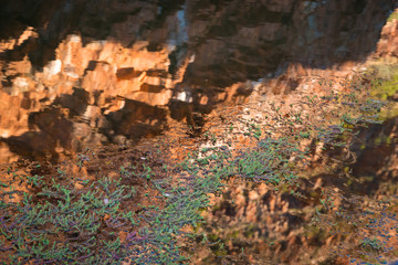 reflections, Ormiston Gorge