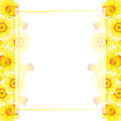 Obraz premium Yellow Daffodil - Narcissus Banner Card Border