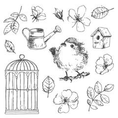 Romantic vector hand drawn collection of birds, flowers, gardeni © dinkoobraz