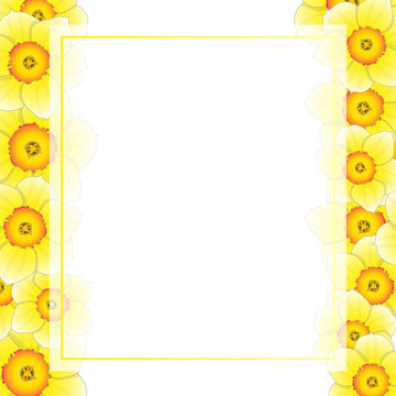 Yellow Daffodil - Narcissus Flower Banner Card Border