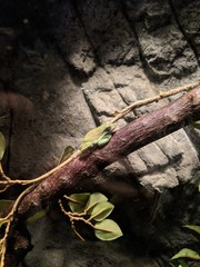 Maker:L,Date:2017-9-26,Ver:5,Lens:Kan03,Act:Kan02,E-Y