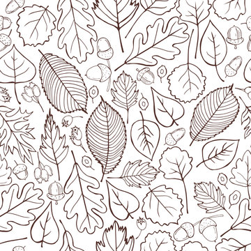 Vector pattern with hand-drawn autumn leaves. Vector  illustration.