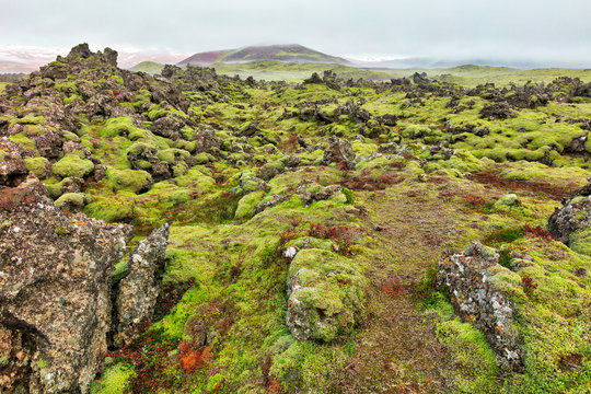 Rugged landscape scene featuring moss covered rocks and a blanket of mist around the mountains in the horizon. Located near Bjarnarhofn in the Western Region of Iceland.