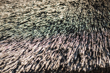 The roof is made of lacustrine reed. Texture. Close-up