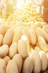 Group of fresh ripe yellow sweet melons. Cantaloupe melons for sale in organic farm.
