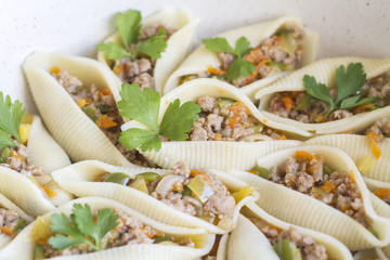 pasta stuffed with meat and vegetables