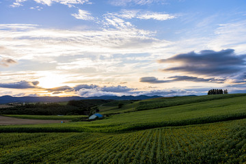 丘の町・美瑛の夕景