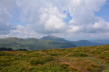 Beautiful view of the Carpathian mountains