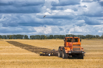 Obraz premium An orange modern tractor plows the earth in.&nbsp; a golden field of wheat on a summer day, in the sky a cumulus cloud, in the background a forest.