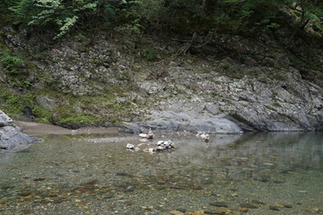 河原　積み石　無人　清涼　流れ　川