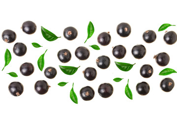 black currant isolated on white background with copy space for your text. Top view. Flat lay pattern