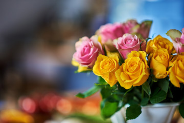 Bouquet of rose flower on blur green leaf background.