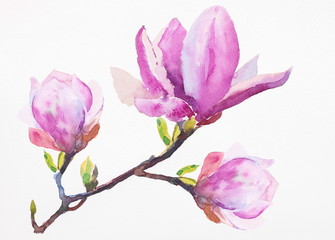 Naklejka premium Watercolor illustration of hand painted seamless magnolia pattern