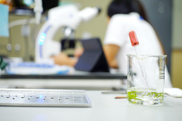 selective focus a small organic plant, scientist is sampling testing a chemical with microscope, research and develop background.