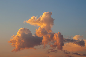 Cumulus clouds in the evening sky