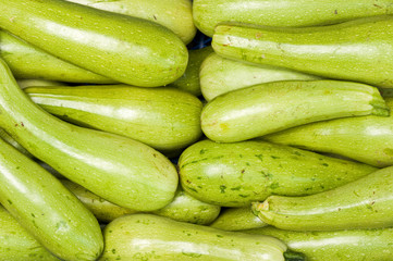 Fresh food agriculture