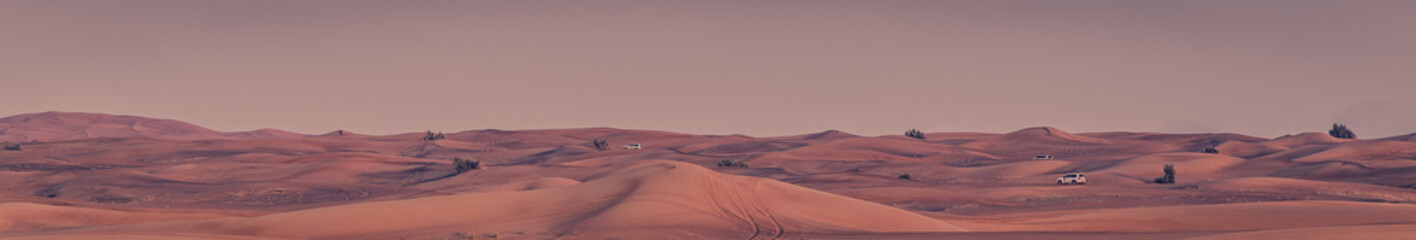 Fototapeta na wymiar Beautiful sand dunes in the desert.