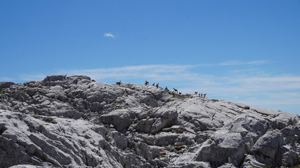 Aspe mountain, Pirinees